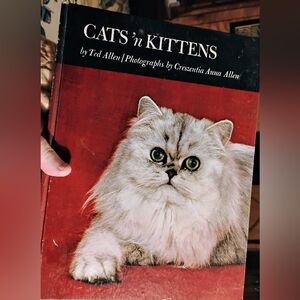 Vintage Cats 'n Kittens Book